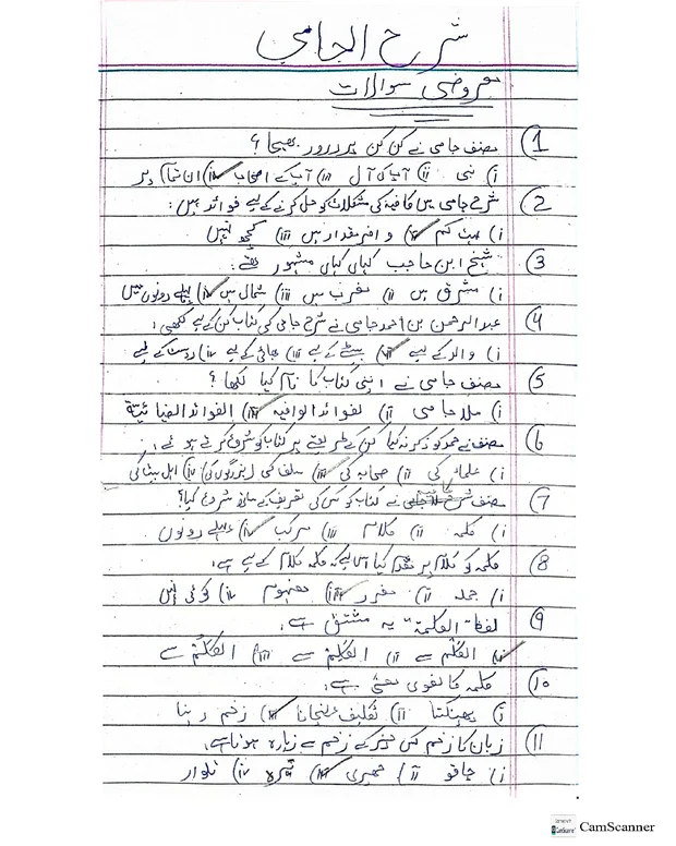 ایم سی کیوز 1 — شرح جامی